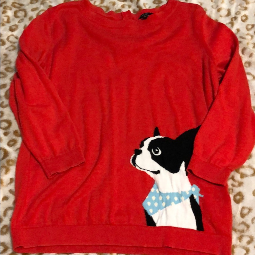 Boston Terrier sweater